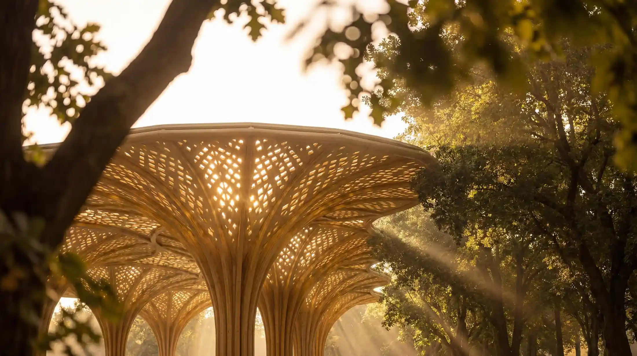 The Canopies at Yas Point